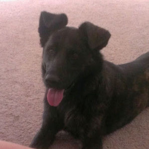 Meet your Posher, Haden